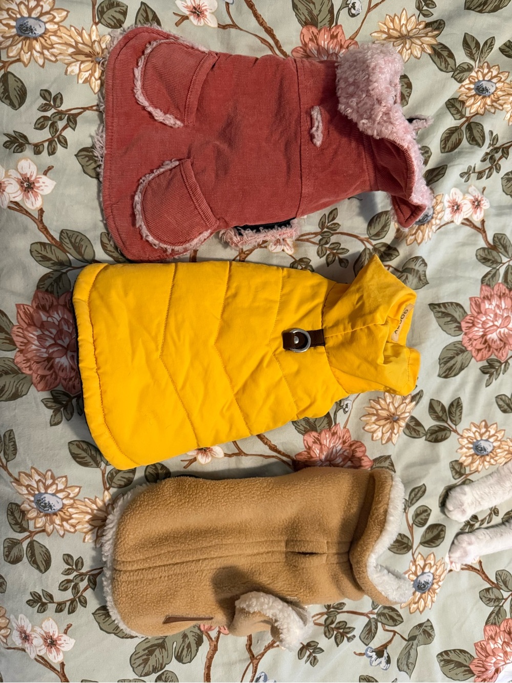 Bundle of 3, XS doggie Coats